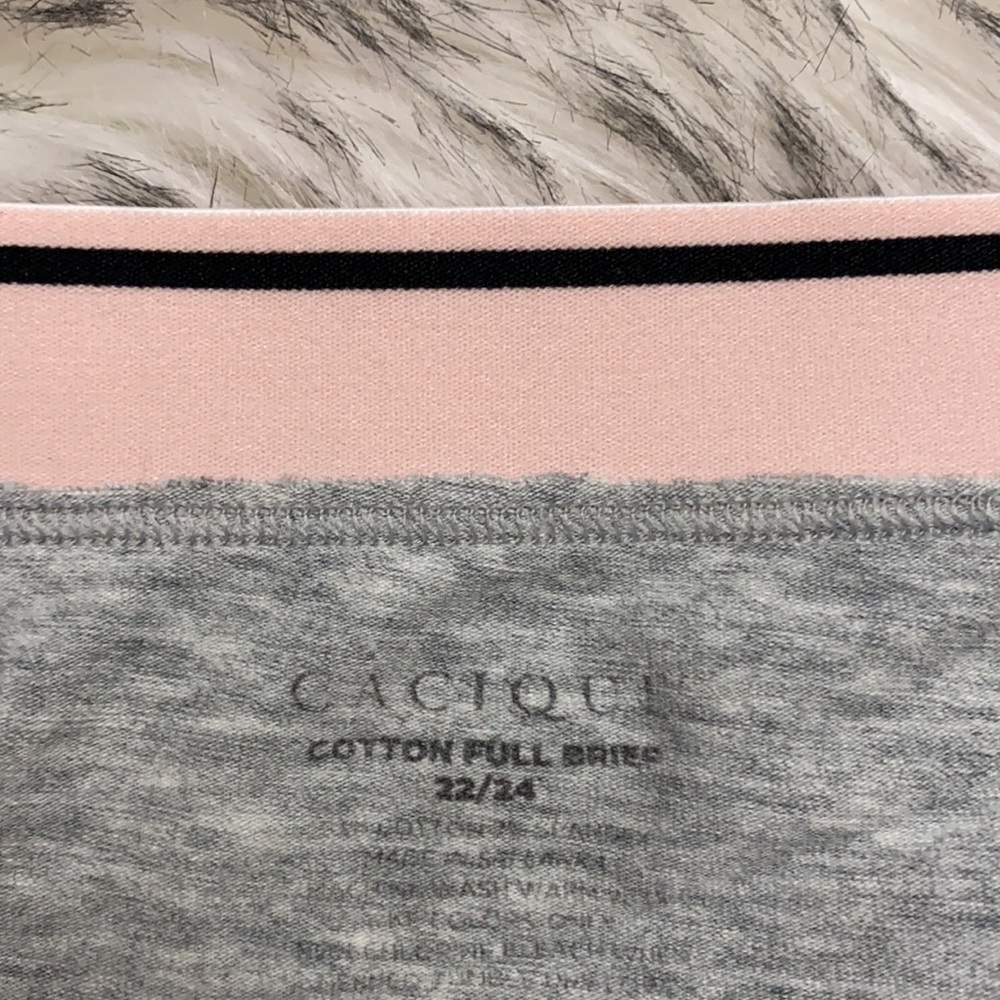 NWOT Cacique Cotton Full Brief 22/24 - Picture 2 of 5